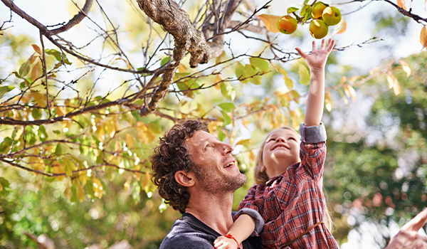 man holding child picking apples