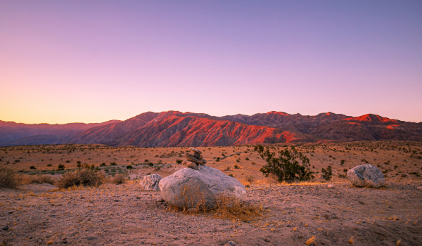 Pink and purple skies in Anza-Borrego Desert