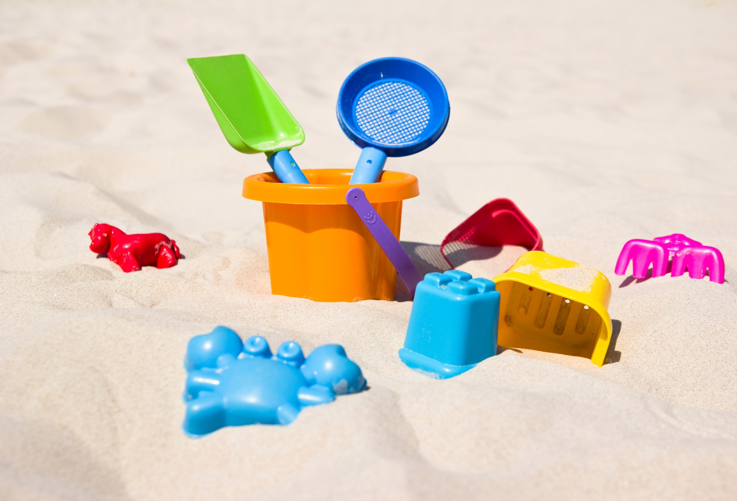 sand toys in the sand