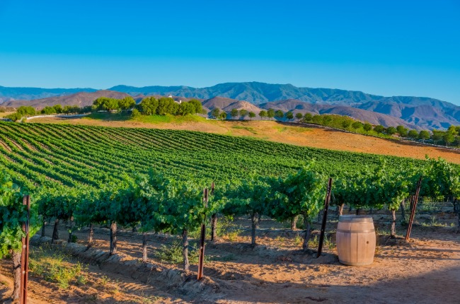 Temecula wine day trip vineyard views